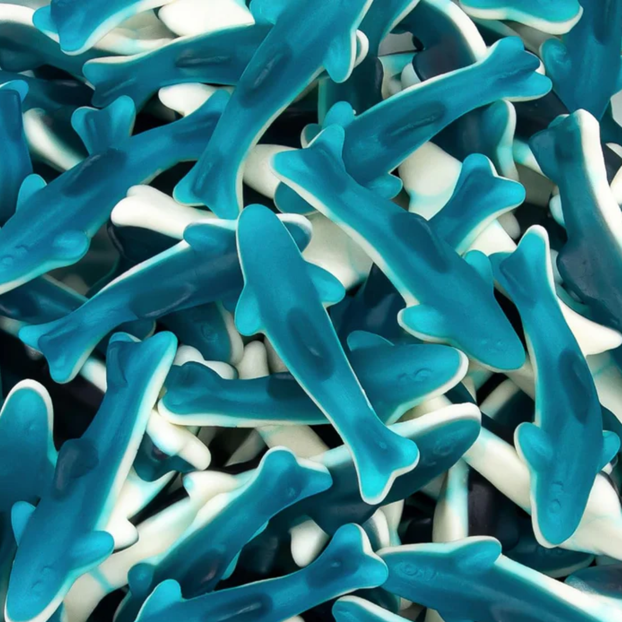 Blue Shark Jelly