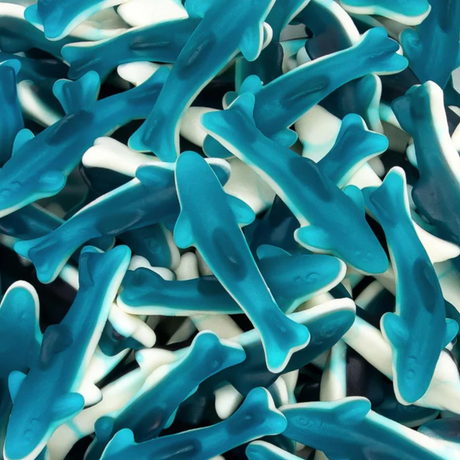 Blue Shark Jelly