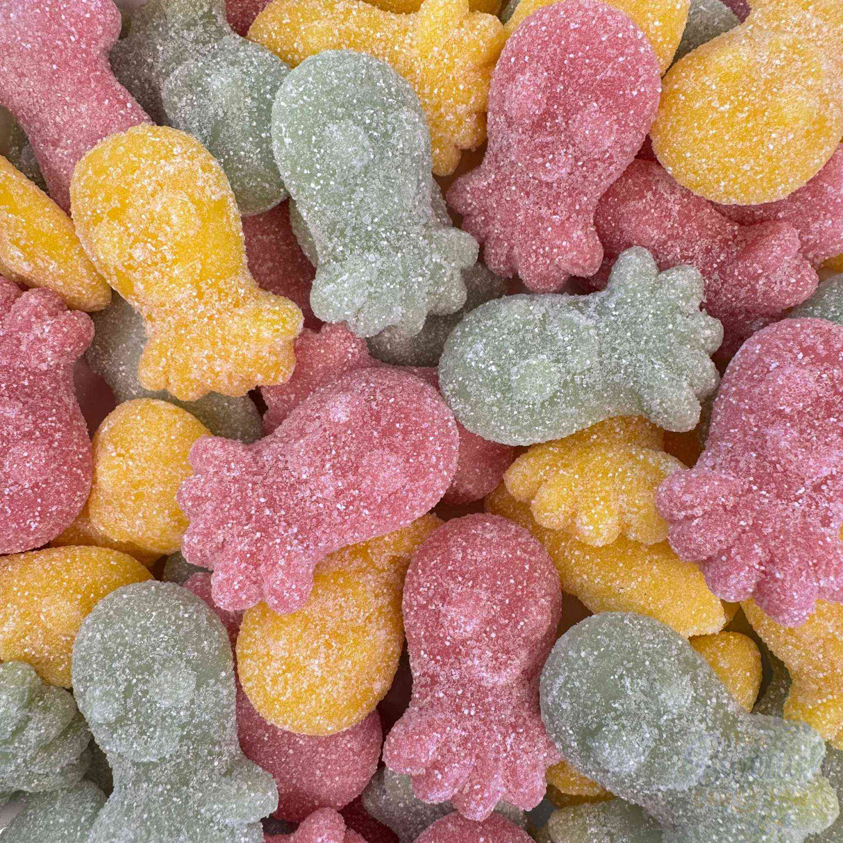 Sour Octopus